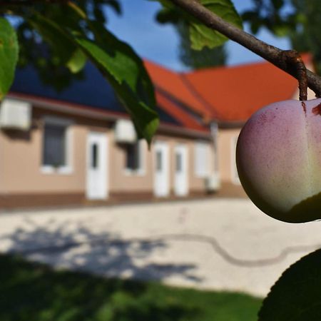 Napfeny Apartman Мако Екстер'єр фото